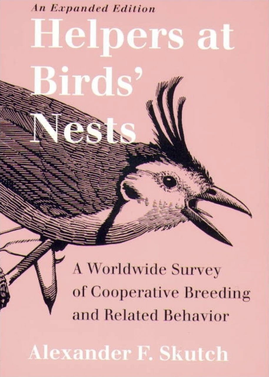 Helpers At Birds' Nests 1 Helpers At Birds' Nests