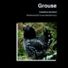 Grouse: Status Survey And Conservation Action Plan: 2000-2004