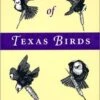 The Behavior Of Texas Birds