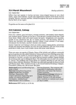 Medicinal Flora Of Britain And Northwestern Europe 5 Medicinal Flora Of Britain And Northwestern Europe -Rode Sales Store 138727 2