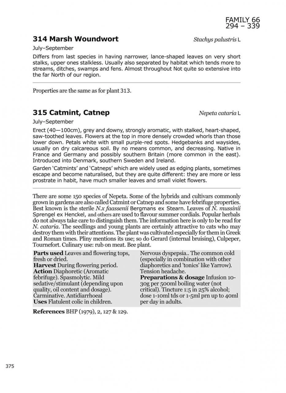 Medicinal Flora Of Britain And Northwestern Europe 3 Medicinal Flora Of Britain And Northwestern Europe - Image 3