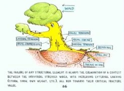 Tree Mechanics -Rode Sales Store 145767 3