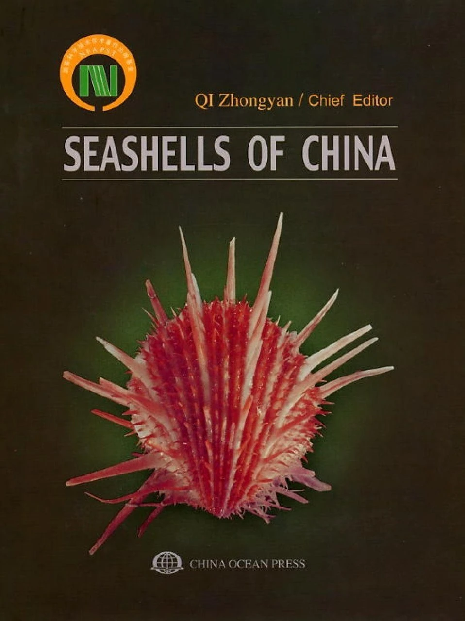Seashells Of China 1 Seashells Of China