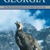 A Birdwatching Guide To Georgia