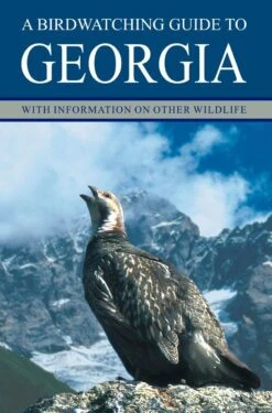 A Birdwatching Guide To Georgia