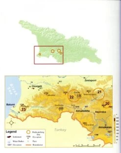 A Birdwatching Guide To Georgia 8 A Birdwatching Guide To Georgia -Rode Sales Store 151792 3