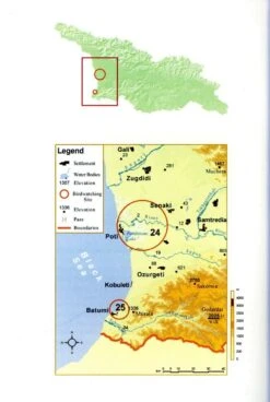 A Birdwatching Guide To Georgia 9 A Birdwatching Guide To Georgia -Rode Sales Store 151792 4