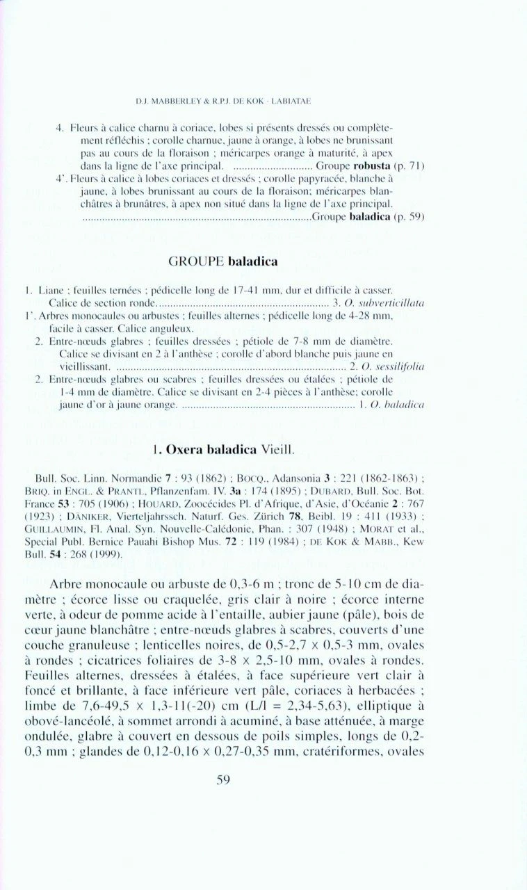 Flore De La Nouvelle-Calédonie Et Dépendances, Volume 25: Hippocrateaceae, Labiatae, Vitaceae 3 Flore De La Nouvelle-Calédonie Et Dépendances, Volume 25: Hippocrateaceae, Labiatae, Vitaceae - Image 3