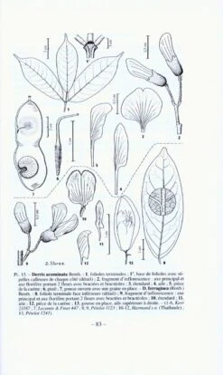 Flore Du Cambodge, Du Laos Et Du Viêtnam, Volume 30 -Rode Sales Store 154161 2