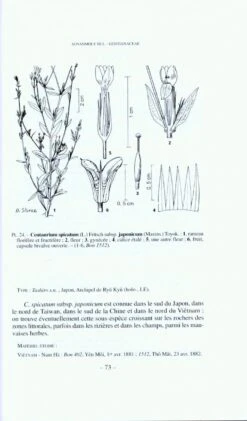 Flore Du Cambodge, Du Laos Et Du Viêtnam, Volume 31 -Rode Sales Store 154162 3