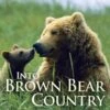 Into Brown Bear Country