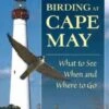 Birds And Birding At Cape May