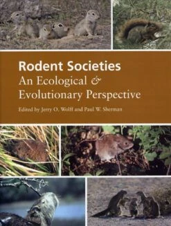 Rodent Societies