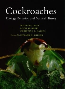 Cockroaches