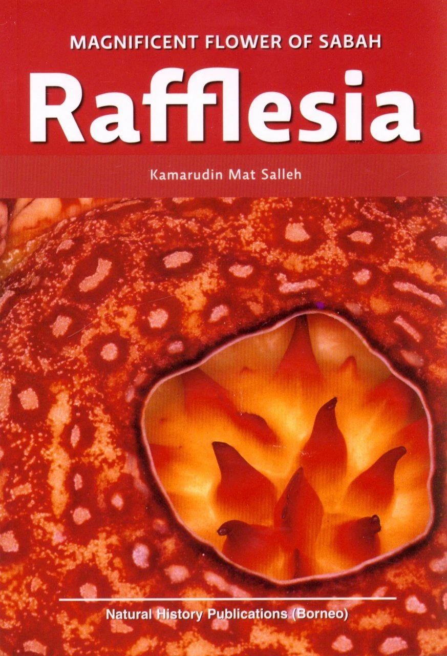 Rafflesia 1 Rafflesia