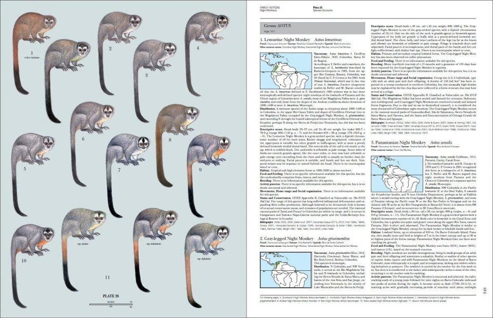 Handbook Of The Mammals Of The World, Volume 3: Primates 2 Handbook Of The Mammals Of The World, Volume 3: Primates - Image 2