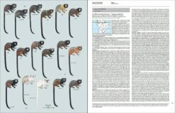 Handbook Of The Mammals Of The World, Volume 3: Primates 9 Handbook Of The Mammals Of The World, Volume 3: Primates -Rode Sales Store 174995 2