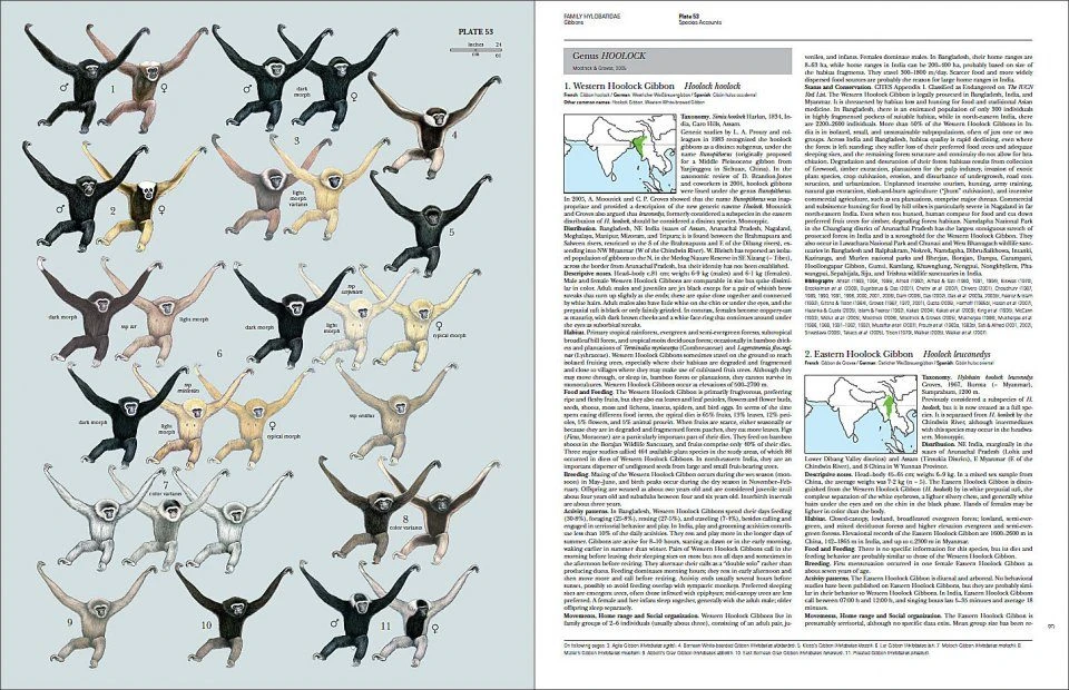 Handbook Of The Mammals Of The World, Volume 3: Primates 5 Handbook Of The Mammals Of The World, Volume 3: Primates - Image 5