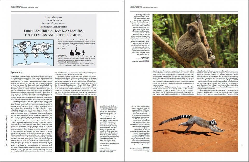 Handbook Of The Mammals Of The World, Volume 3: Primates 7 Handbook Of The Mammals Of The World, Volume 3: Primates - Image 7