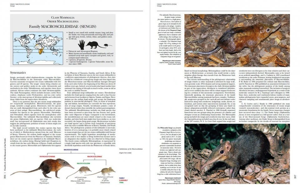 Handbook Of The Mammals Of The World, Volume 8: Insectivores, Sloths And Colugos 5 Handbook Of The Mammals Of The World, Volume 8: Insectivores, Sloths And Colugos - Image 5