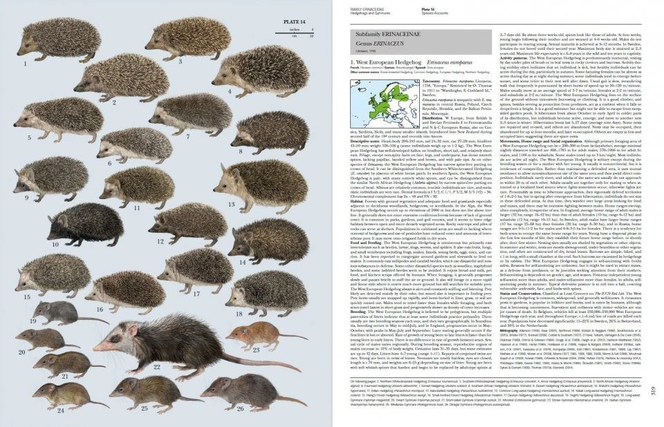 Handbook Of The Mammals Of The World, Volume 8: Insectivores, Sloths And Colugos 8 Handbook Of The Mammals Of The World, Volume 8: Insectivores, Sloths And Colugos - Image 8