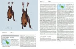Handbook Of The Mammals Of The World, Volume 9: Bats -Rode Sales Store 175000 03