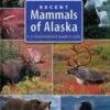 Recent Mammals Of Alaska