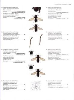 The Encyclopedia Of The Swedish Flora And Fauna, Tvåvingar: Blomflugor [Swedish] -Rode Sales Store 178725 2