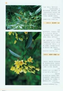 Rare Plants Of China [Chinese] -Rode Sales Store 179097 3