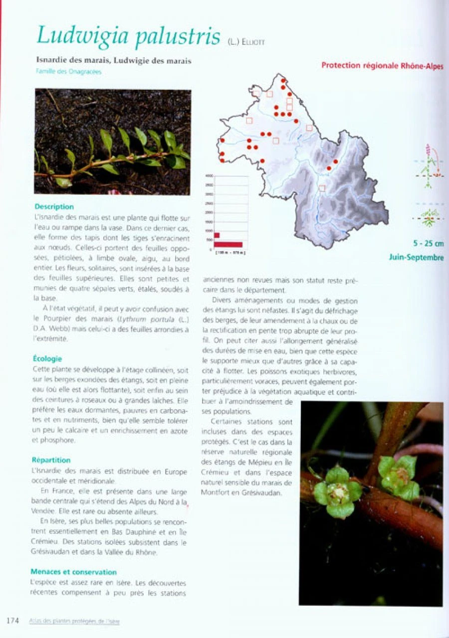 Atlas Des Plantes Protégées De L'Isère Et Des Plantes Dont La Cueillette Est Réglementée 2 Atlas Des Plantes Protégées De L'Isère Et Des Plantes Dont La Cueillette Est Réglementée - Image 2