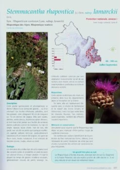 Atlas Des Plantes Protégées De L'Isère Et Des Plantes Dont La Cueillette Est Réglementée 5 Atlas Des Plantes Protégées De L'Isère Et Des Plantes Dont La Cueillette Est Réglementée -Rode Sales Store 179605 2