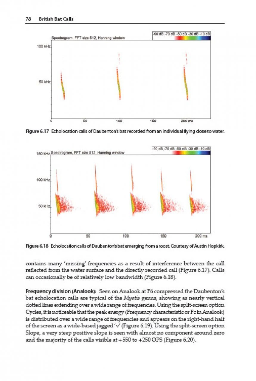 British Bat Calls 3 British Bat Calls - Image 3