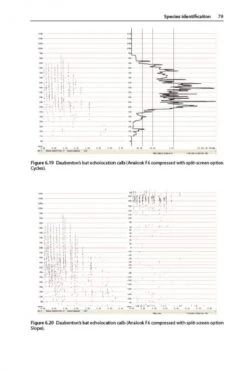 British Bat Calls 7 British Bat Calls -Rode Sales Store 181961 3