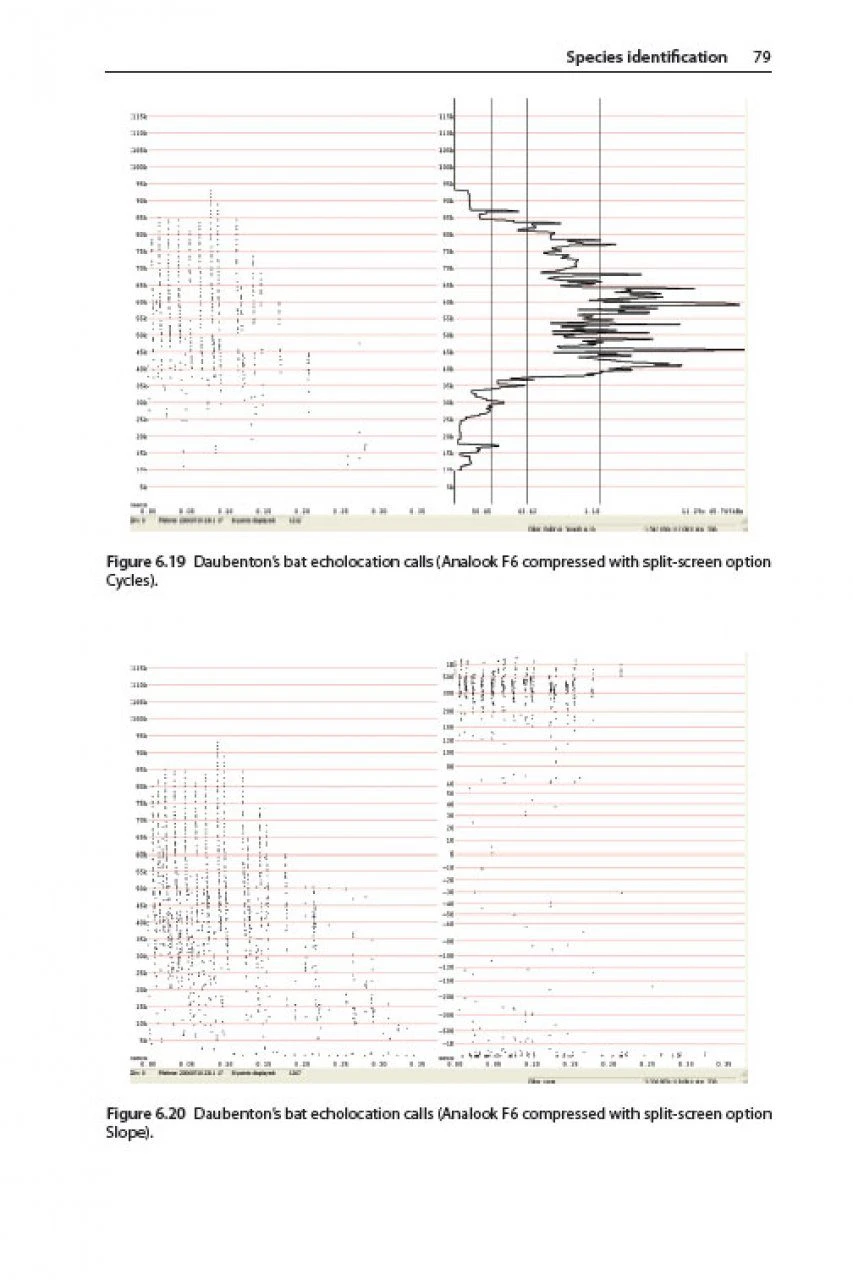 British Bat Calls 4 British Bat Calls - Image 4