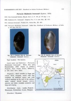 Handbook On Indian Freshwater Molluscs -Rode Sales Store 185268 3