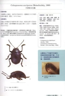 The Chrysomelidae Of Taiwan, Volume 1 [Chinese] -Rode Sales Store 186329 2