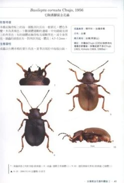 The Chrysomelidae Of Taiwan, Volume 2 [Chinese] -Rode Sales Store 186330 2