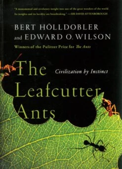 The Leafcutter Ants