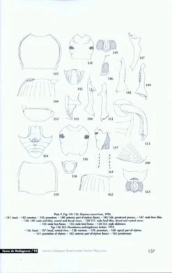 Faune De Madagascar, Fasc. 93 - Insecta Coleoptera Tenebrionidae 7 Faune De Madagascar, Fasc. 93 - Insecta Coleoptera Tenebrionidae -Rode Sales Store 186753 2