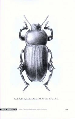 Faune De Madagascar, Fasc. 93 - Insecta Coleoptera Tenebrionidae 8 Faune De Madagascar, Fasc. 93 - Insecta Coleoptera Tenebrionidae -Rode Sales Store 186753 3