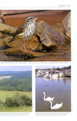 The American Bird Conservancy Guide To Bird Conservation -Rode Sales Store 186969 3