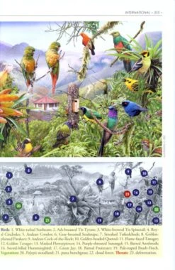 The American Bird Conservancy Guide To Bird Conservation -Rode Sales Store 186969 4