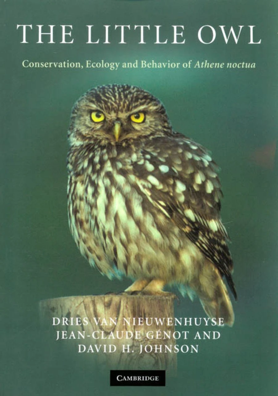 The Little Owl 1 The Little Owl