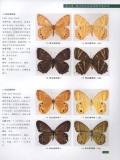 Atlas Of Butterflies Of MT. Qinling-Bashan In China [Chinese] -Rode Sales Store 189517 2