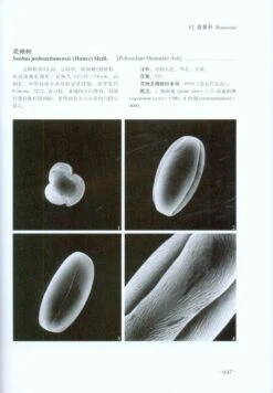 Pollen Flora Of China Woody Plants By SEM [Chinese] -Rode Sales Store 189958 4