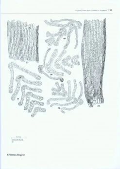 Boissiera, Volume 63: The Genus Grimmia Hedw. (Grimmiaceae, Bryophyta) -Rode Sales Store 190168 2