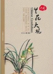 Chinese Cymbidium [Chinese]