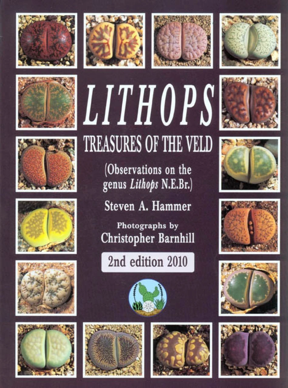 Lithops – Treasures Of The Veld 1 Lithops – Treasures Of The Veld