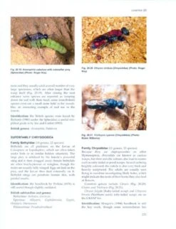 The Royal Entomological Society Book Of British Insects -Rode Sales Store 191947 7