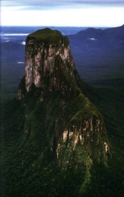 Monograph Of The Genus Genlisea -Rode Sales Store 192722 4